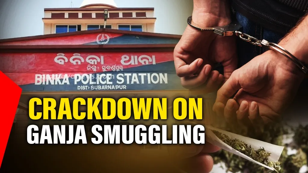 Operation Prahaar: Police arrest two including woman after chase, seize ganja in Odisha